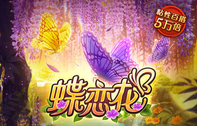 db体育app