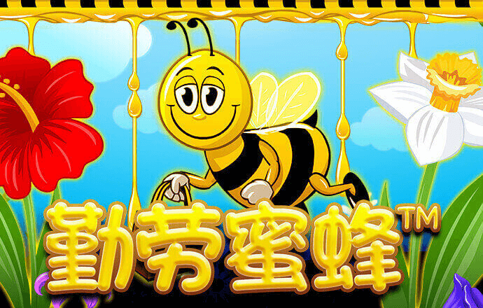 333体育网页登录